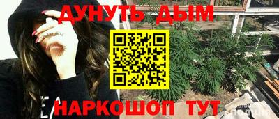 стаф Волгодонск